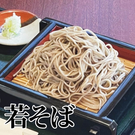 若そば めん150g・めんつゆ30g 各6