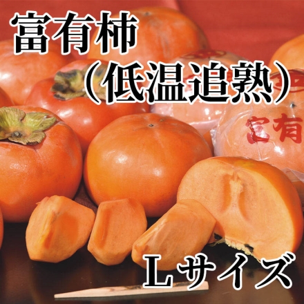 富有柿（低温追熟）Ｌサイズ 3kg（14個）