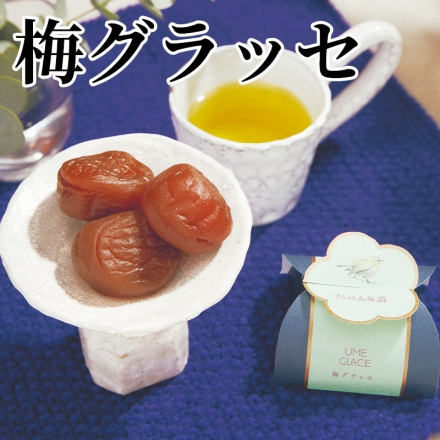梅グラッセ 25g×9