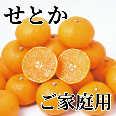 せとか ご家庭用 3kg（2S～4L混）