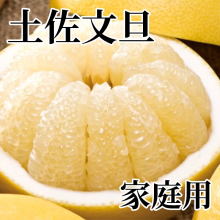 土佐文旦 家庭用 5kg（L～5L混：7～12個）