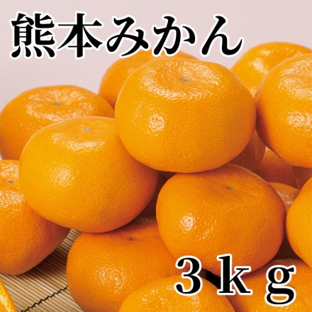 熊本みかん 3ｋｇ