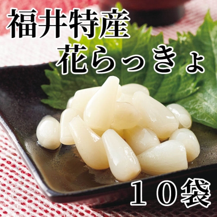 福井特産花らっきょ 10袋