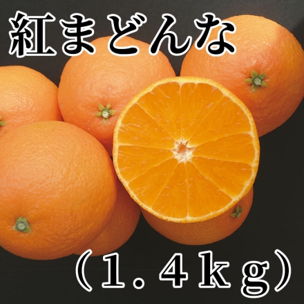 紅まどんな（1.4ｋｇ）