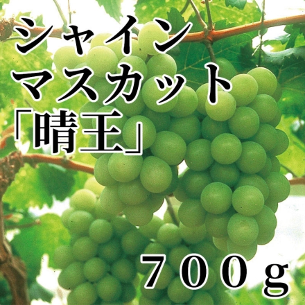シャインマスカット「 晴王 」 700ｇ