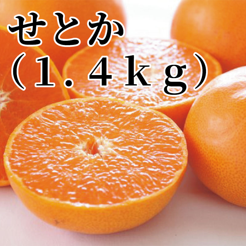 せとか（1.4ｋｇ）