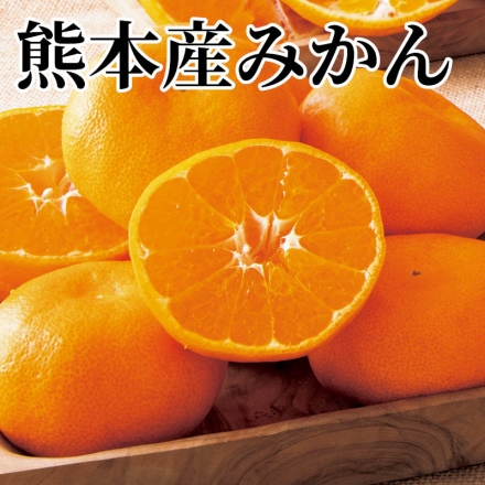 熊本産みかん 4.5kg（S～2L混：30～50個）