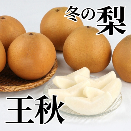 冬の梨 王秋 2kg（4～6個）
