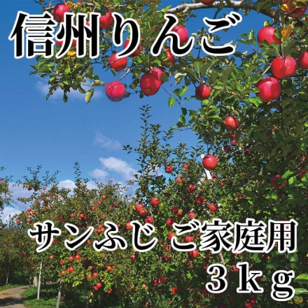 信州りんご サンふじ ご家庭用 3ｋｇ