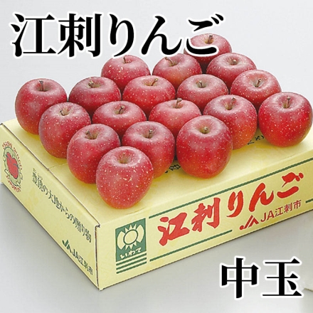 江刺りんご 中玉 サンふじ5kg（18～20個）