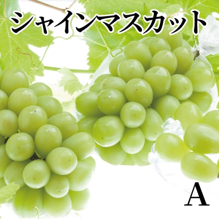 シャインマスカット Ａ 500ｇ（1房）