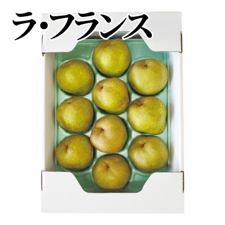 ラ・フランス 3kg（9～11個）