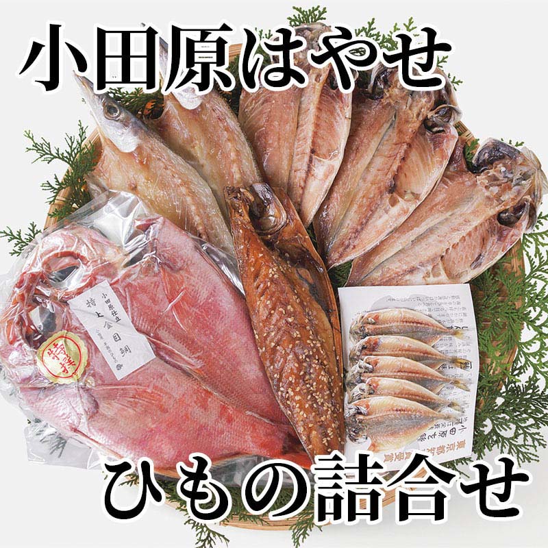 小田原はやせ ひもの詰合せ 真あじ3枚、豆あじ5枚、かます2枚、金目鯛・さば醤油干 各1枚