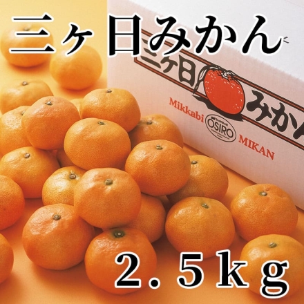 三ヶ日みかん 2.5ｋｇ