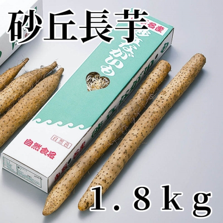 砂丘長芋 1.8ｋｇ