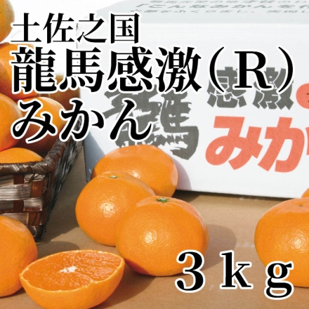 土佐之国龍馬感激（Ｒ）みかん 3ｋｇ