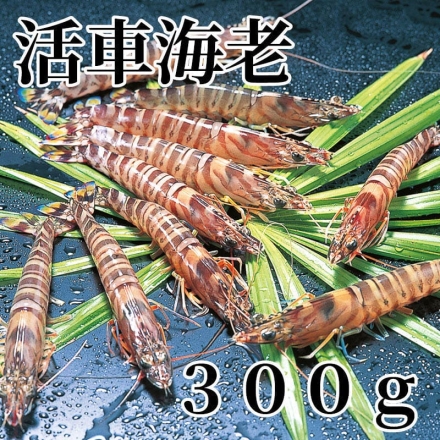 活車海老 300ｇ