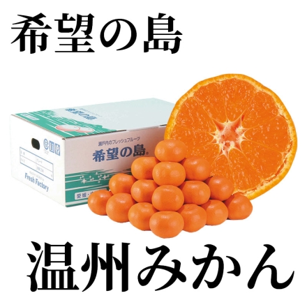 希望の島 温州みかん 3kg（ML：23～28個）