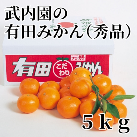 武内園の有田みかん（秀品） 5ｋｇ