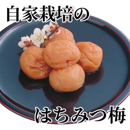 自家栽培のはちみつ梅 500g（約塩分4％）