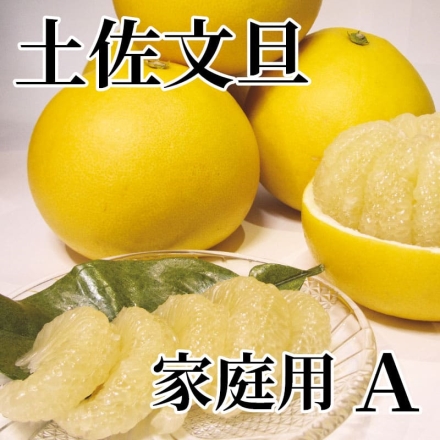 土佐文旦 家庭用 Ａ 5kg（L～4L：7～12個）