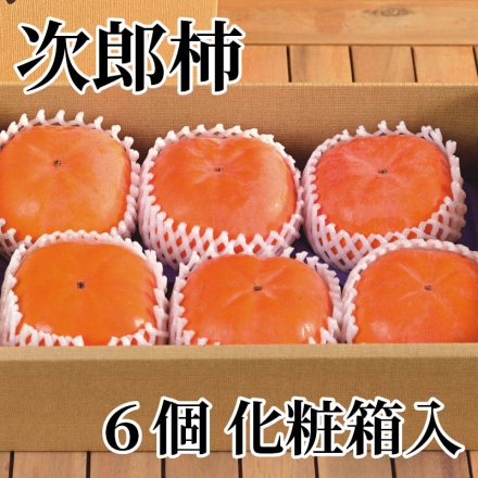 次郎柿 6個 化粧箱入