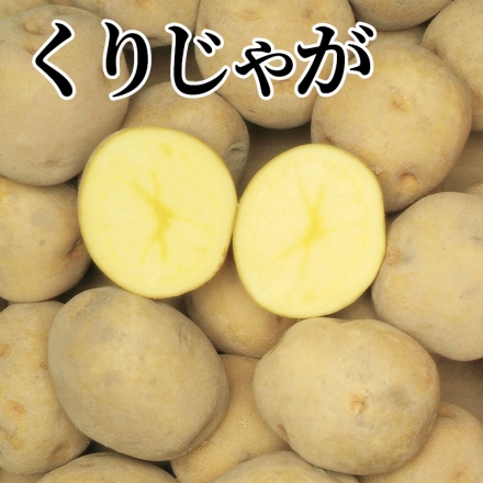 くりじゃが キタアカリ6kg