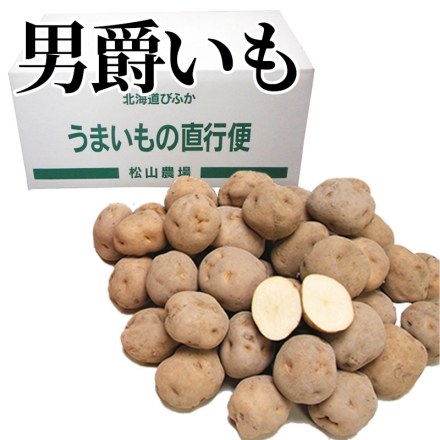 男爵いも 6ｋｇ