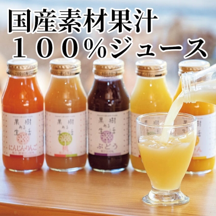 国産素材果汁100％ジュース にんじんりんご・桃・ぶどう・りんご・みかん 各180ml×2