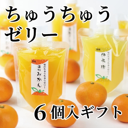 ちゅうちゅうゼリー6個入ギフト