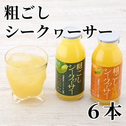 粗ごしシークヮーサー 6本