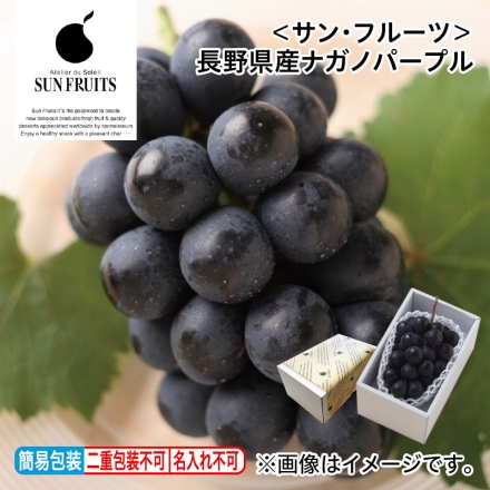 お中元のし付き ＜サン・フルーツ＞長野県産ナガノパープル 500g（1房） 御中元 夏ギフト ギフト 贈答
