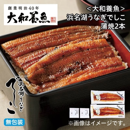 お中元のし付き ＜大和養魚＞浜名湖うなぎでしこ 蒲焼2本 御中元 夏ギフト ギフト 贈答