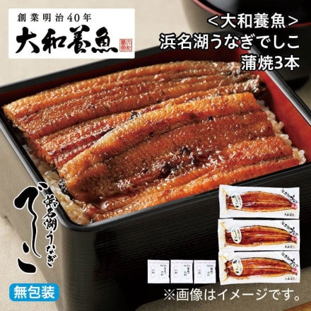 お中元のし付き ＜大和養魚＞浜名湖うなぎでしこ 蒲焼3本 御中元 夏ギフト ギフト 贈答