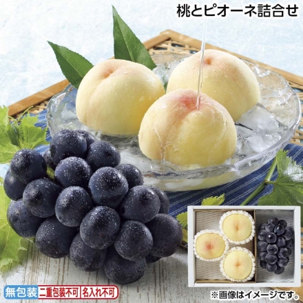 お中元のし付き 桃とピオーネ詰合せ 白桃750g（3個）、ピオーネ400g（1房） 御中元 夏ギフト ギフト 贈答