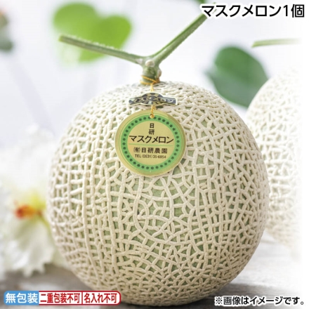 お中元のし付き マスクメロン1個 御中元 夏ギフト ギフト 贈答