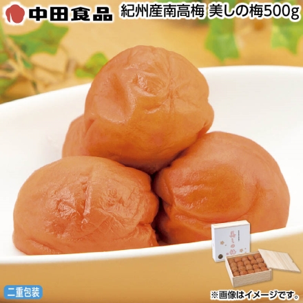 お中元のし付き 紀州産南高梅 美しの梅500ｇ 御中元 夏ギフト ギフト 贈答