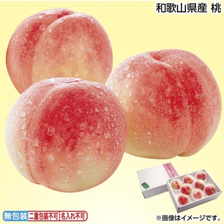 お中元のし付き 和歌山県産 桃 1.8kg（6～8個） 御中元 夏ギフト ギフト 贈答
