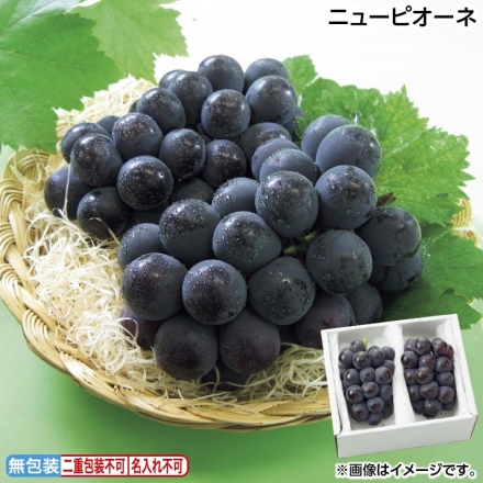 お中元のし付き ニューピオーネ 800g（2房） 御中元 夏ギフト ギフト 贈答