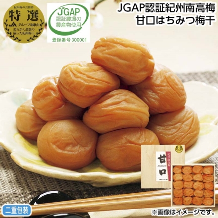 お中元のし付き ＪＧＡＰ認証紀州南高梅甘口はちみつ梅干 500g（約塩分6％） 御中元 夏ギフト ギフト 贈答