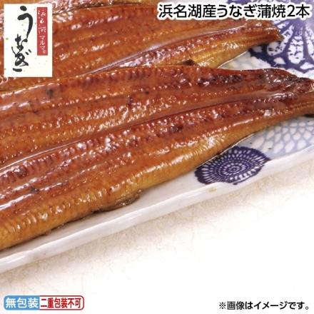 お中元のし付き 浜名湖うなぎ蒲焼2本 御中元 夏ギフト ギフト 贈答