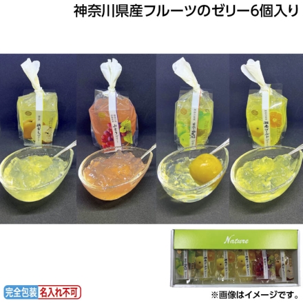お中元のし付き 神奈川県産フルーツのゼリー6個入り 御中元 夏ギフト ギフト 贈答
