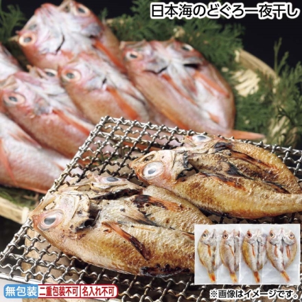 お中元のし付き 日本海のどぐろ一夜干し 400g（4枚） 御中元 夏ギフト ギフト 贈答