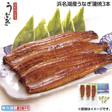お中元のし付き 浜名湖うなぎ蒲焼3本 御中元 夏ギフト ギフト 贈答