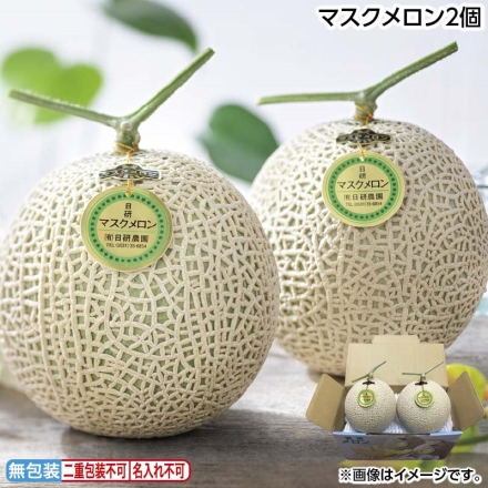 お中元のし付き マスクメロン2個 御中元 夏ギフト ギフト 贈答