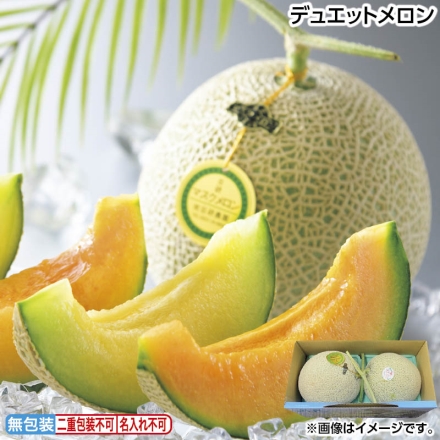 お中元のし付き デュエットメロン マスクメロン・赤肉メロン 各1.35kg 御中元 夏ギフト ギフト 贈答