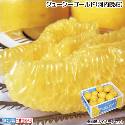 お中元のし付き ジューシーゴールド（河内晩柑） 4kg（M～2L） 御中元 夏ギフト ギフト 贈答