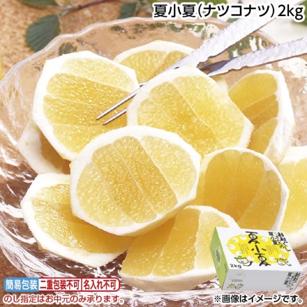 お中元のし付き 夏小夏（ナツコナツ）2ｋｇ 御中元 夏ギフト ギフト 贈答