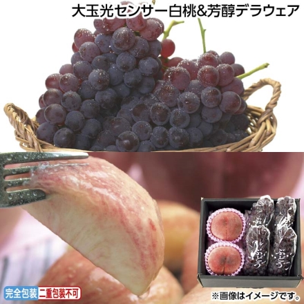 お中元のし付き 大玉光センサー白桃＆芳醇デラウェア 白桃2個、デラウェア4房 御中元 夏ギフト ギフト 贈答