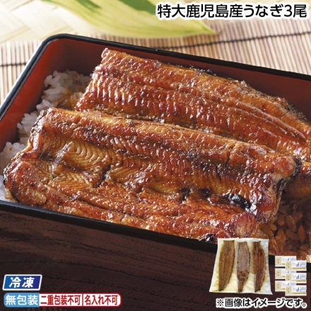 お中元のし付き 冷凍 特大鹿児島産うなぎ3尾 御中元 夏ギフト ギフト 贈答